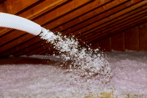 Best Fiberglass Insulation  in La Salle, CO