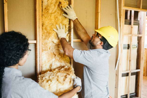 Insulation Repair Services in La Salle, CO