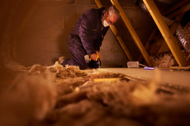 Best Insulation Repair Services  in La Salle, CO